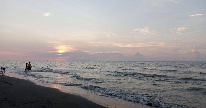 Restor.eco.id/Pantai Karang Malang